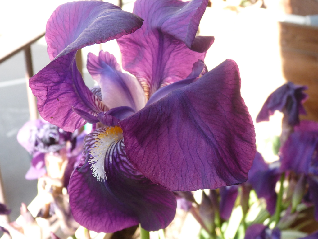 No s'ha trobat l'arxiu